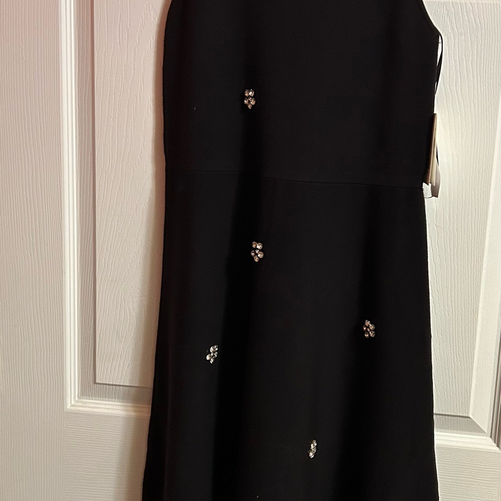 Free Assembly Elegant Black Sleeveless Dress with Floral Accents - Picture 2 of 15